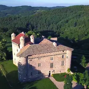 Chateau De Maisonseule Saint-Basile